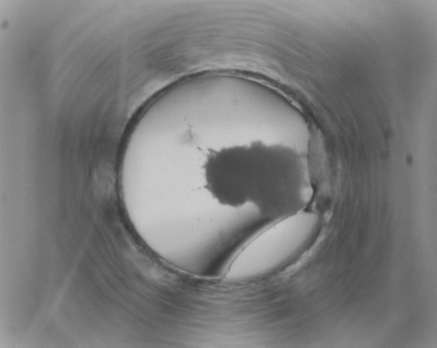 X0000062911505200602031844