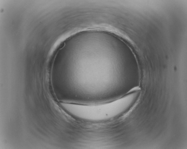 X0000062911506200602031844