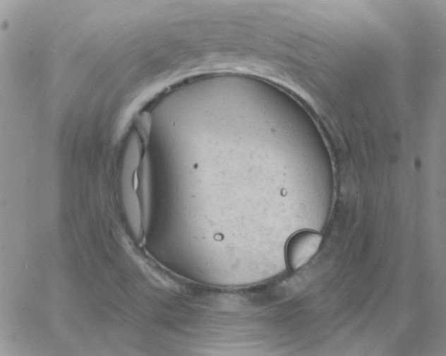 X0000062911507200602031844