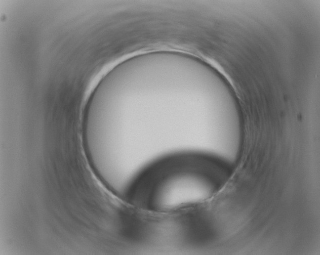 X0000062911508200602031844