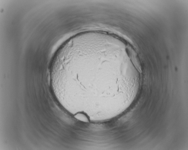 X0000062911509200602031844