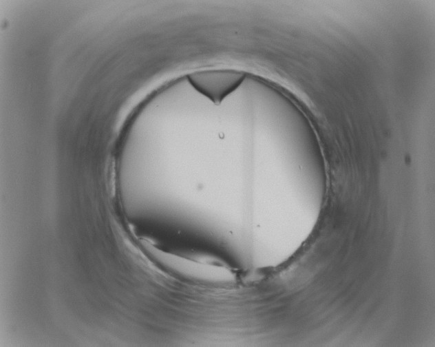 X0000062911510200602031844