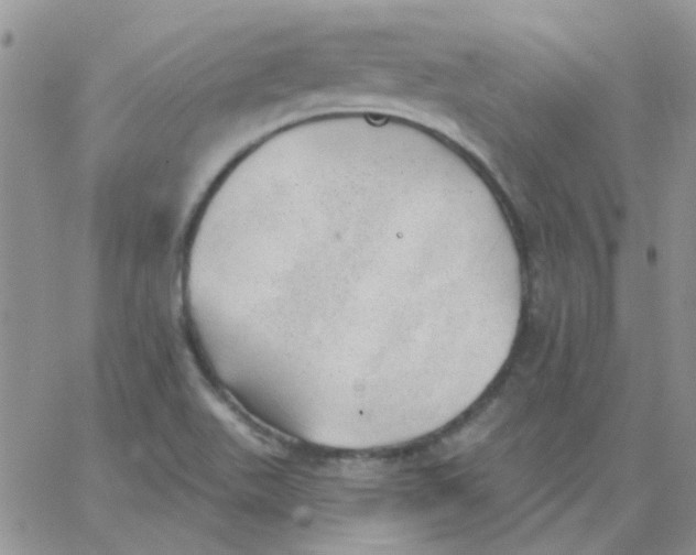 X0000062911511200602031844