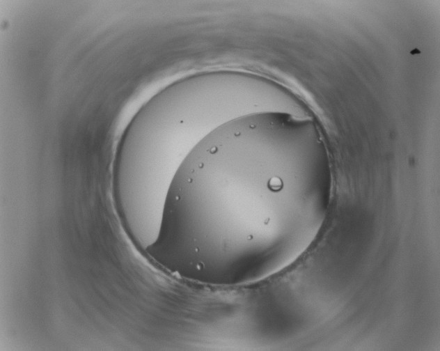 X0000062911512200602031844