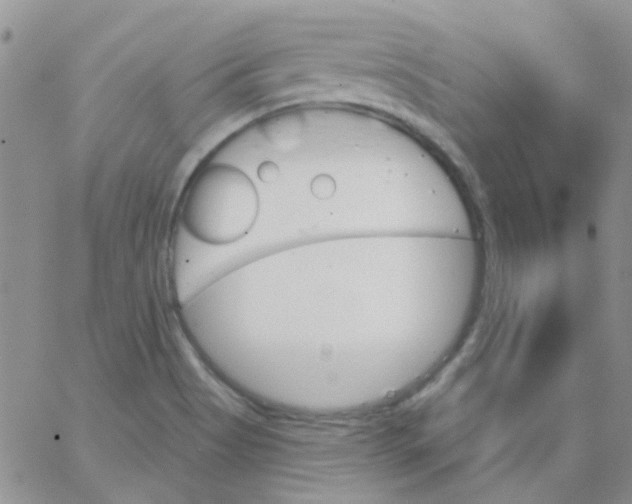 X0000062911513200602031844