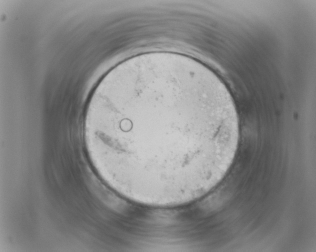 X0000062911514200602031844