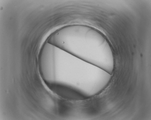 X0000062911515200602031844