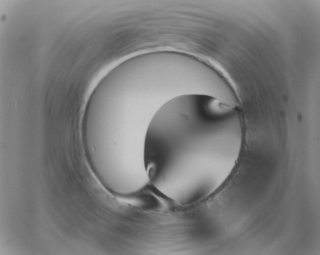 X0000062911516200602031844