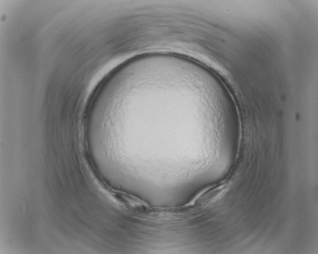 X0000062911517200602031844