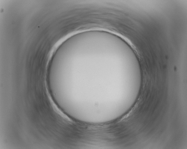 X0000062911518200602031844