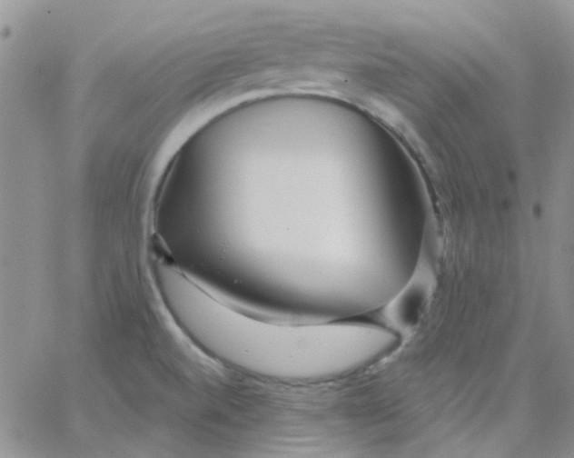 X0000062911520200602031844