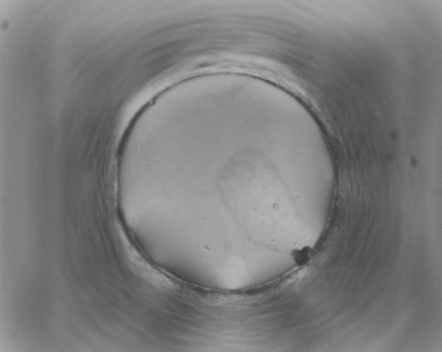 X0000062911522200602031844