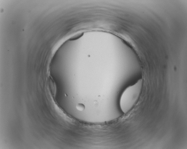 X0000062911524200602031844