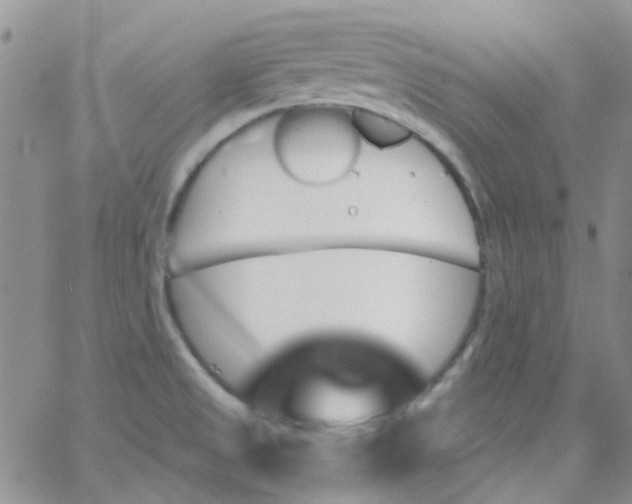 X0000062911525200602031844