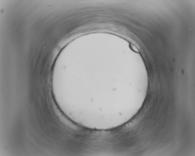 X0000062911526200602031844