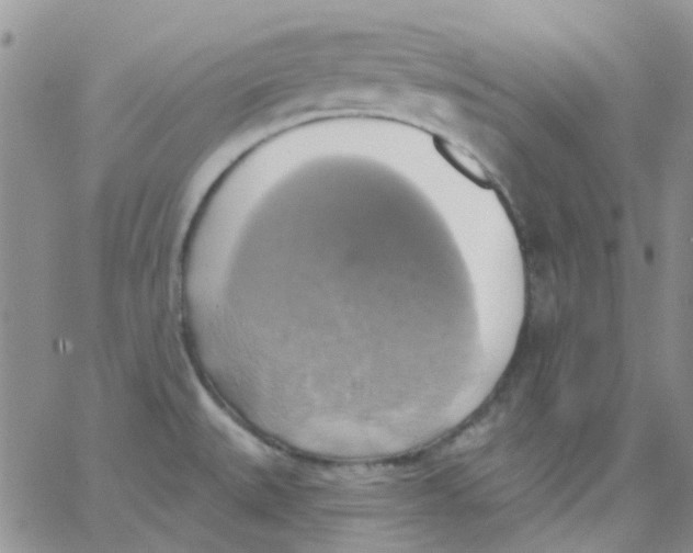 X0000062911527200602031844