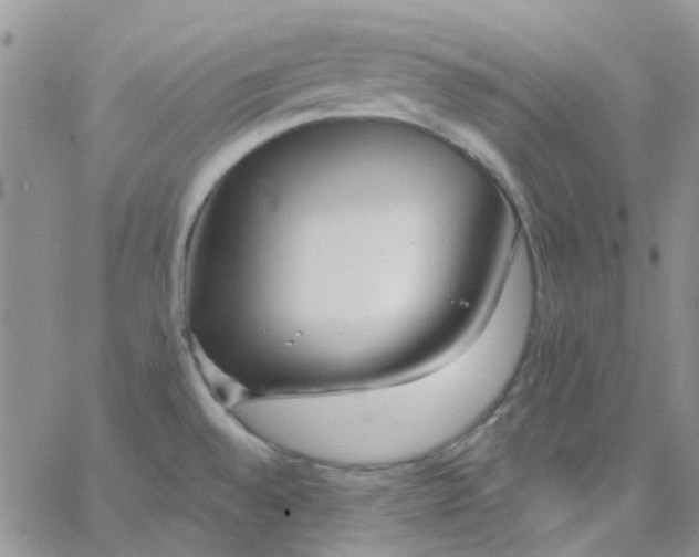 X0000062911528200602031844