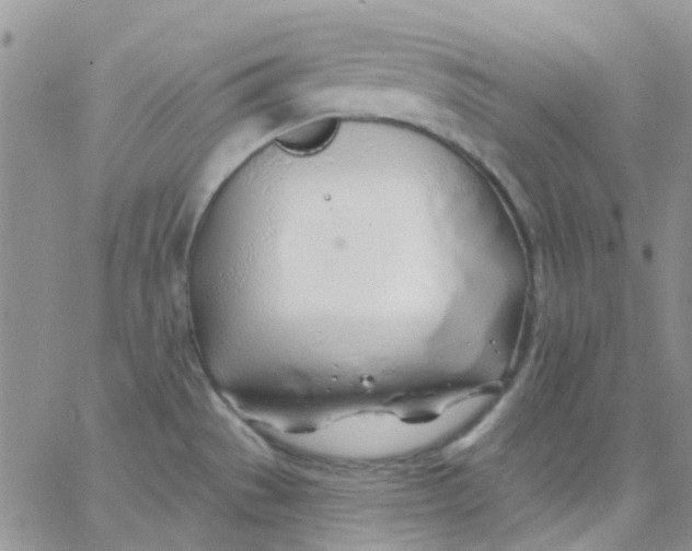 X0000062911529200602031844