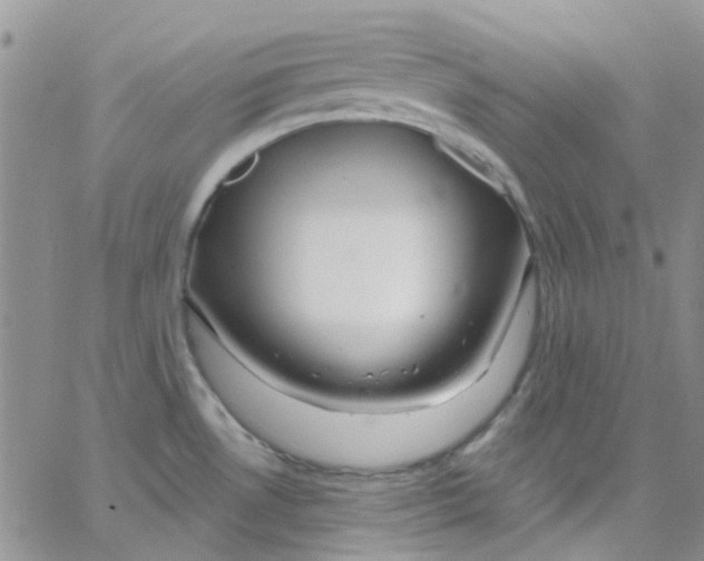 X0000062911530200602031844