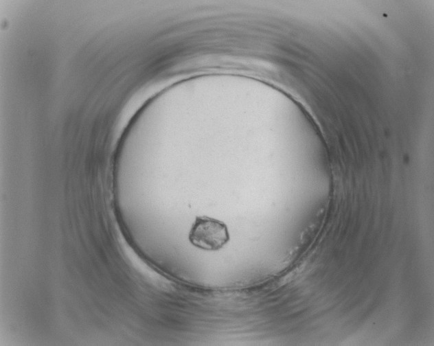 X0000062911531200602031844