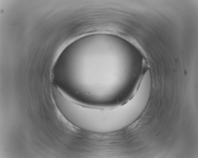 X0000062911532200602031844