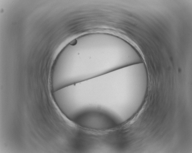 X0000062911533200602031844