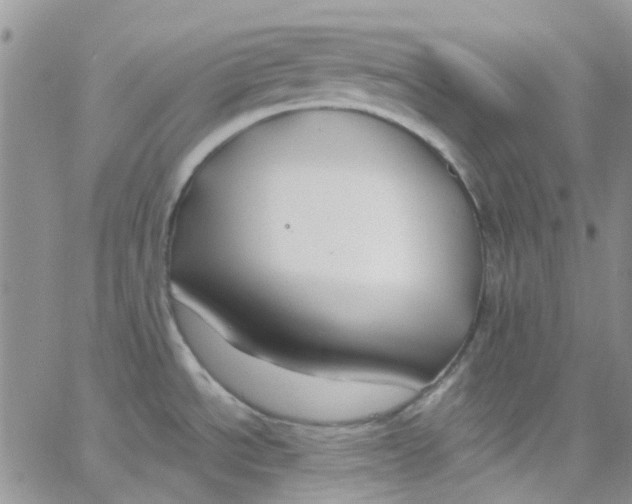 X0000062911534200602031844