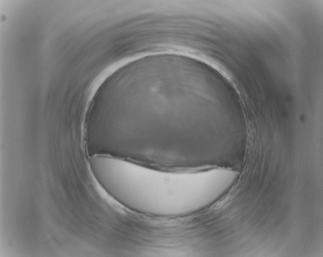 X0000062911535200602031844