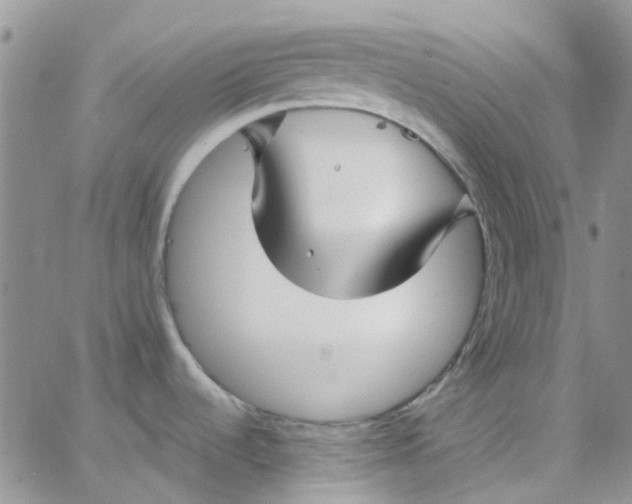 X0000062911536200602031844