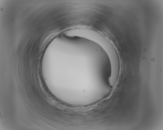 X0000062910001200602101843