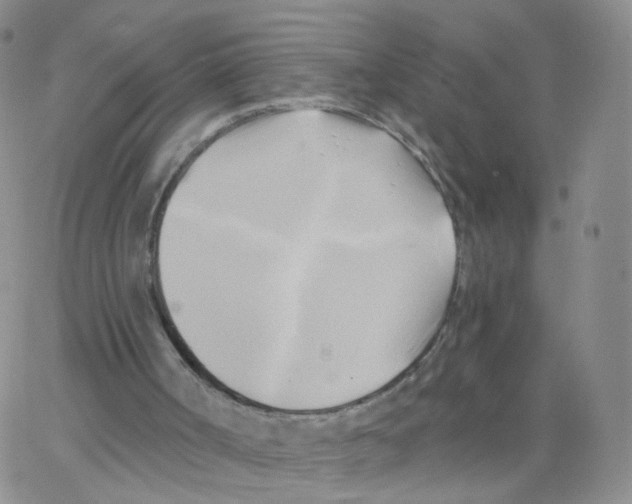 X0000062910002200602101843