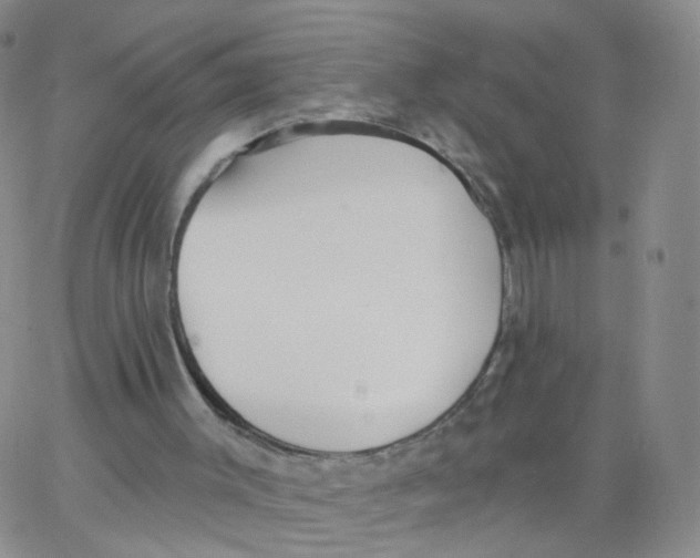 X0000062910003200602101843