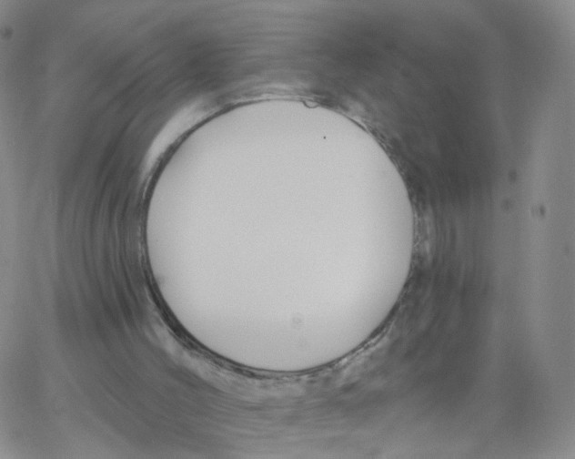 X0000062910004200602101843