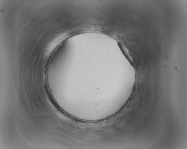 X0000062910005200602101843