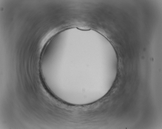 X0000062910007200602101843