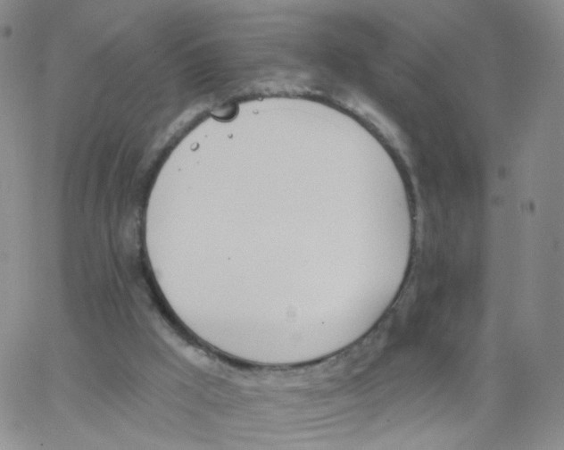 X0000062910009200602101843