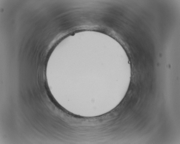 X0000062910011200602101843