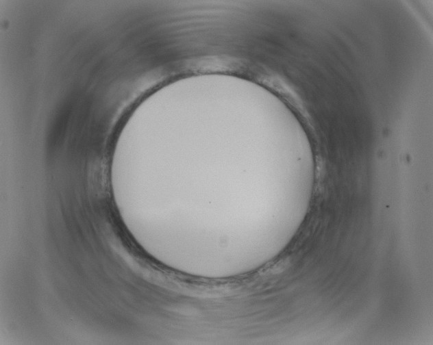 X0000062910012200602101843