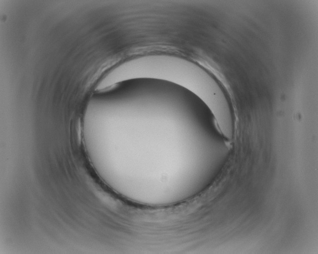 X0000062910013200602101843