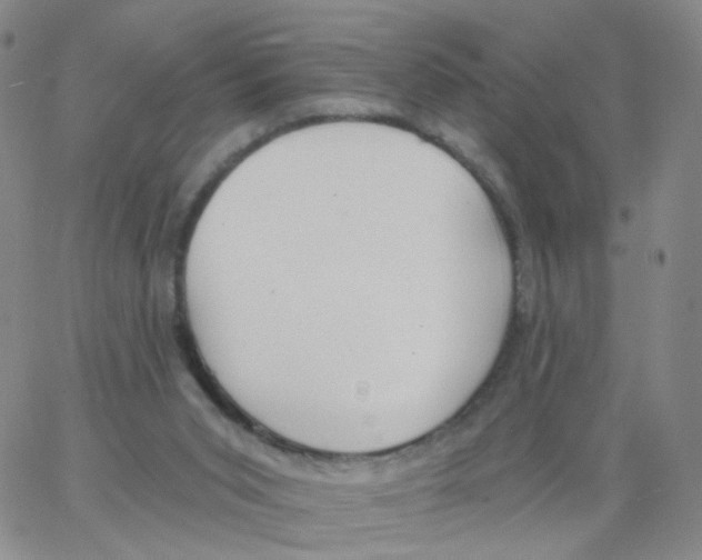 X0000062910015200602101843