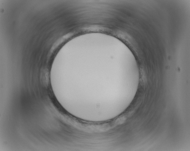 X0000062910016200602101843