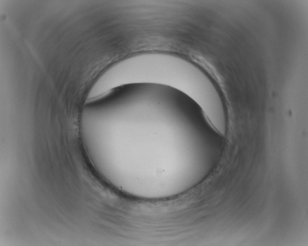 X0000062910017200602101843