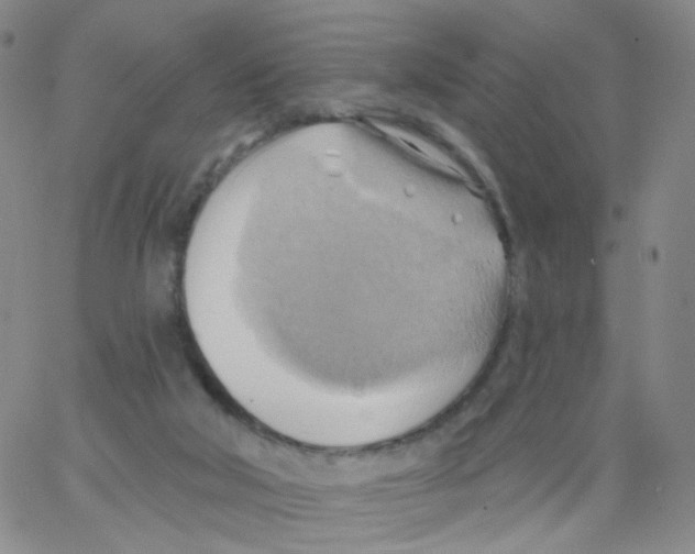 X0000062910018200602101843