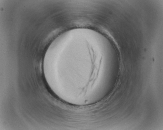 X0000062910019200602101843