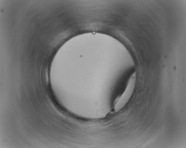 X0000062910020200602101843