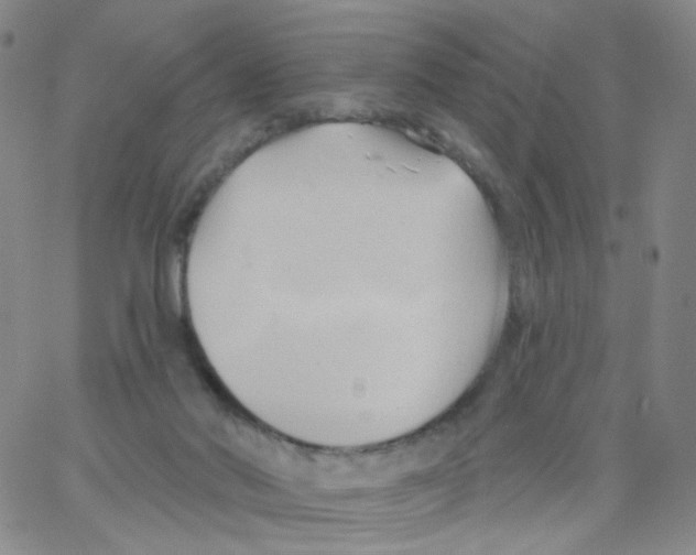 X0000062910022200602101843