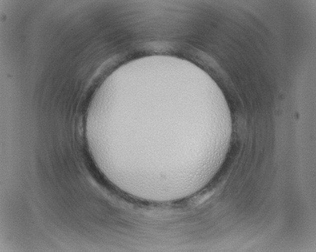 X0000062910024200602101843