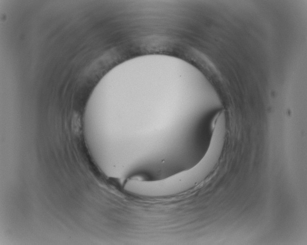 X0000062910025200602101843