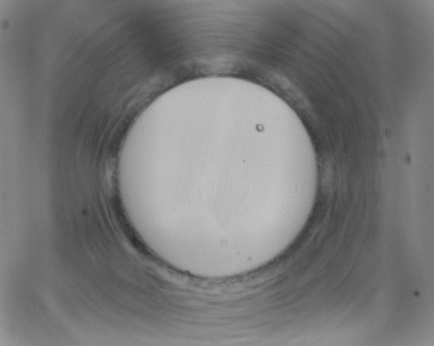 X0000062910026200602101843