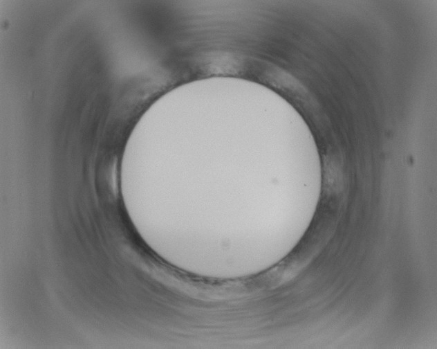 X0000062910028200602101843